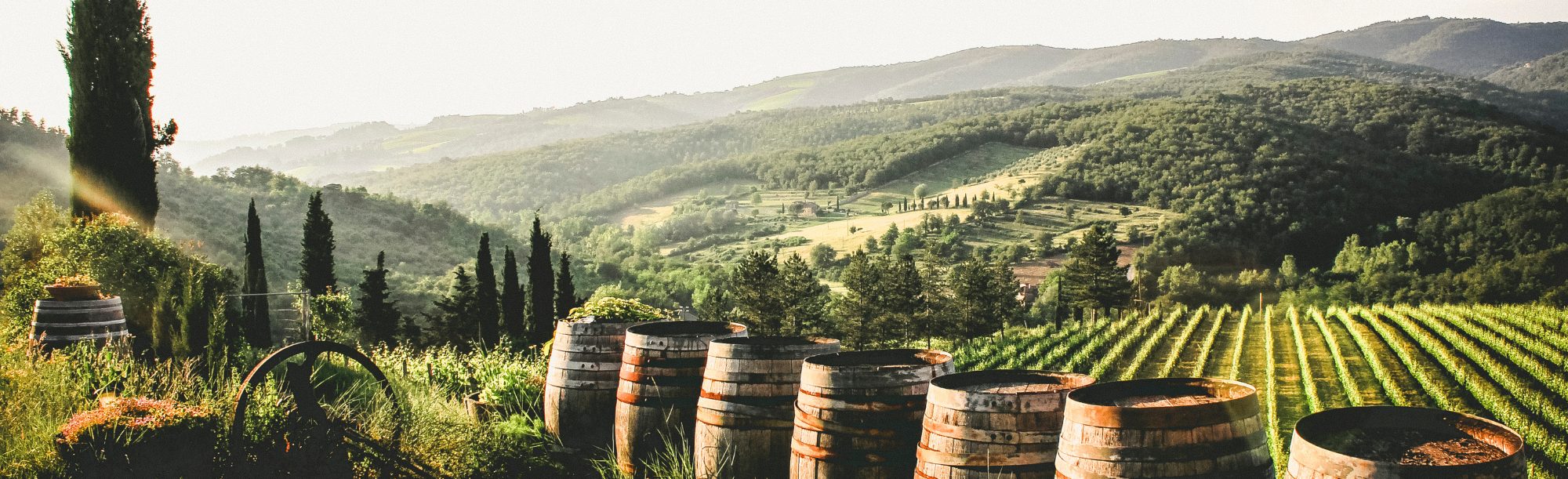 Secli Weinwelt - Bella Italia – Ein Land, unzählige Weinstile