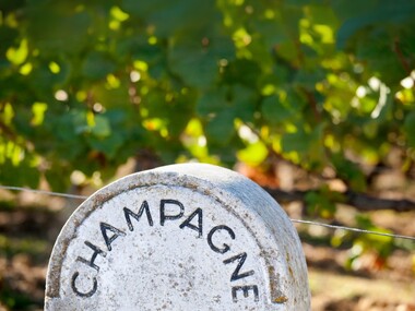 Events - Secli Genuss-Momente – Winzerchampagner. Hautnah.