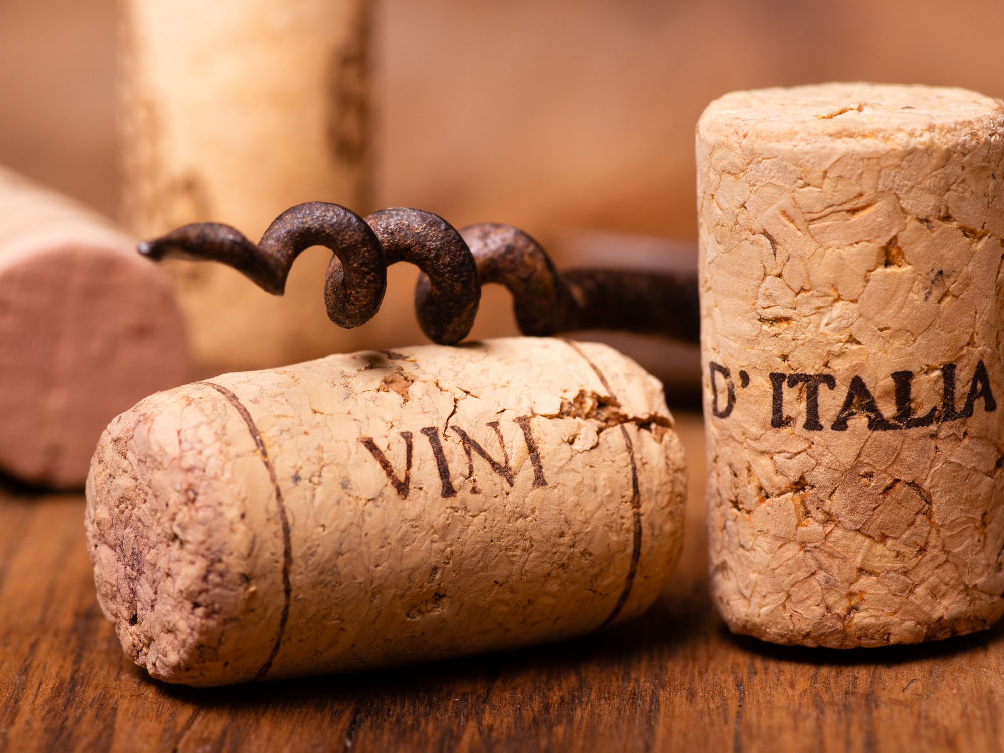 Secli Weinwelt - Bella Italia – Ein Land, unzählige Weinstile