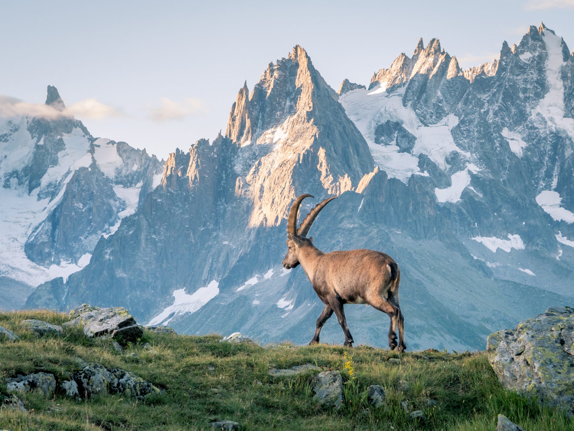 Secli Weinwelt - Wein Degustationen