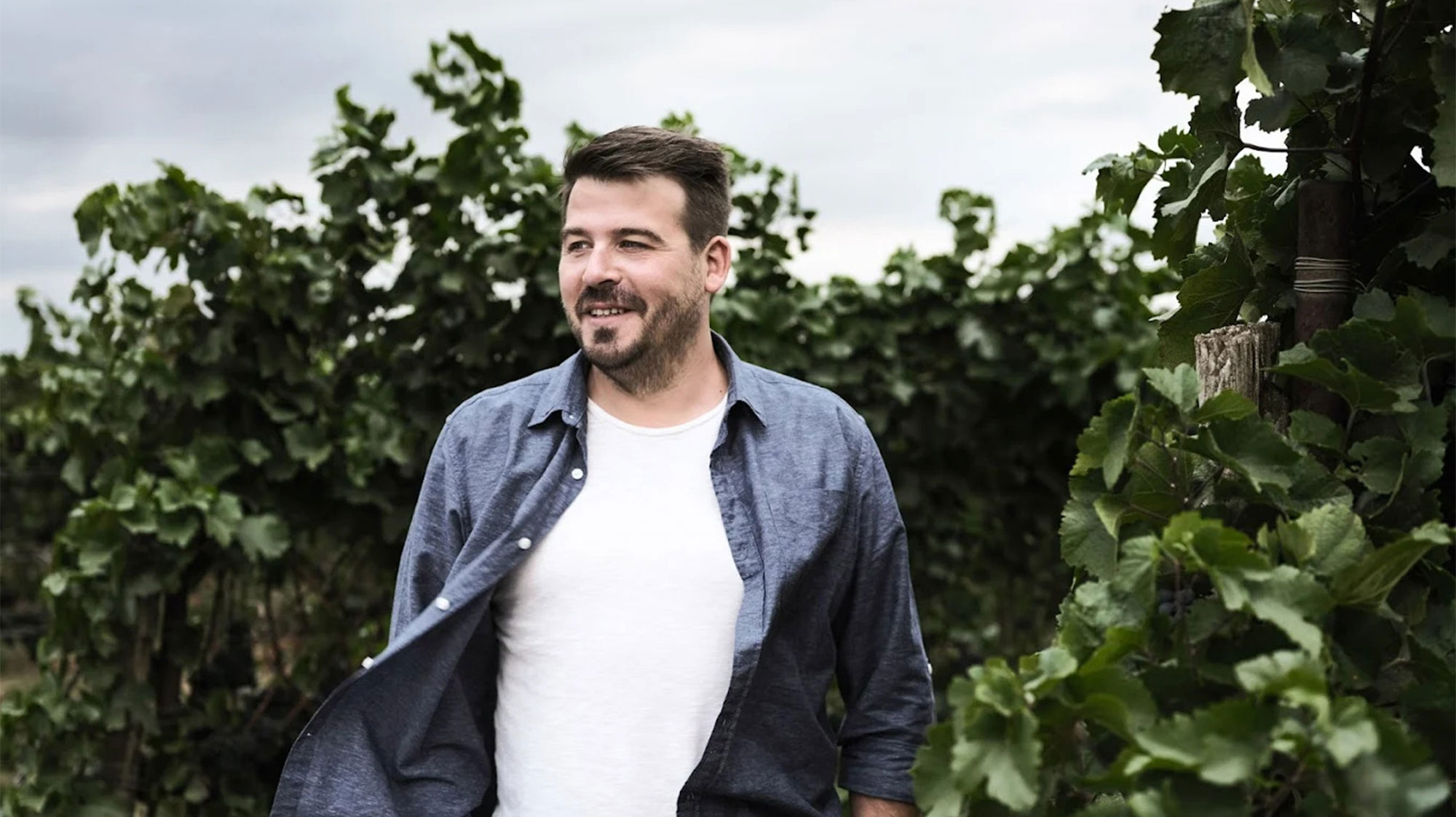 Secli Weinwelt - Frontpage Shop