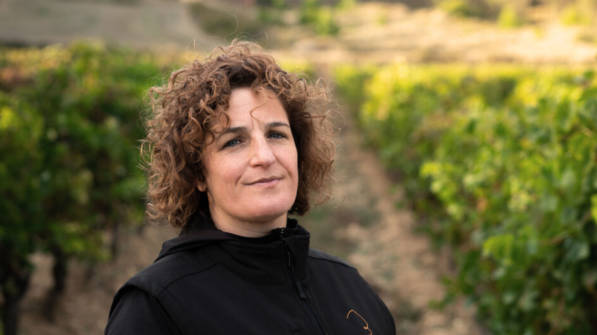 Secli Weinwelt - Frontpage Shop