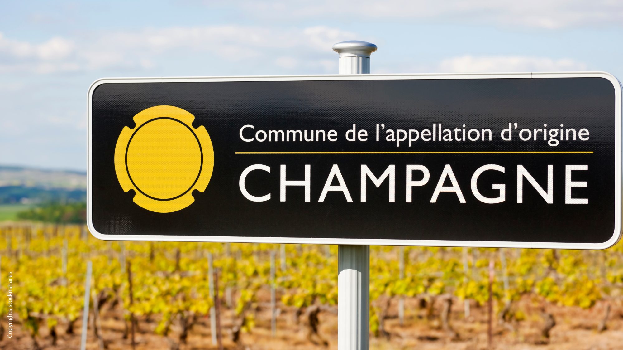 Secli Weinwelt - Champagner Basics