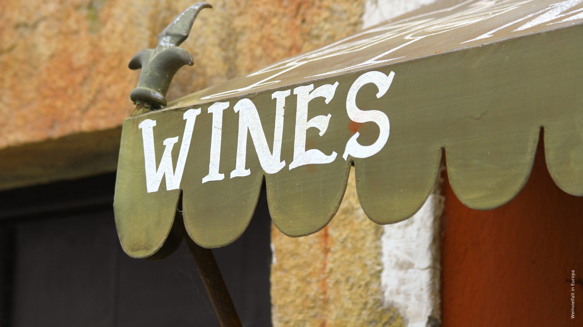 Secli Weinwelt - Weinwissen