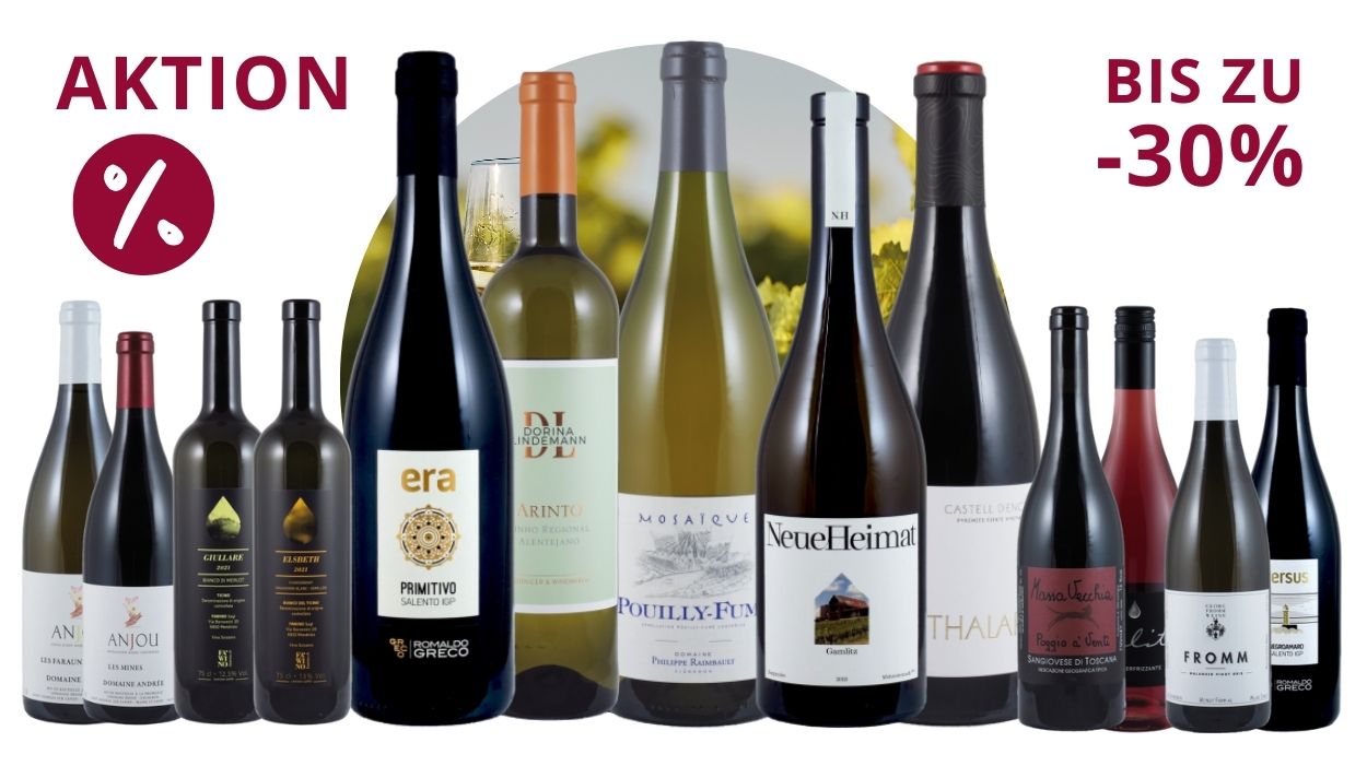 Secli Weinwelt - Frontpage Shop