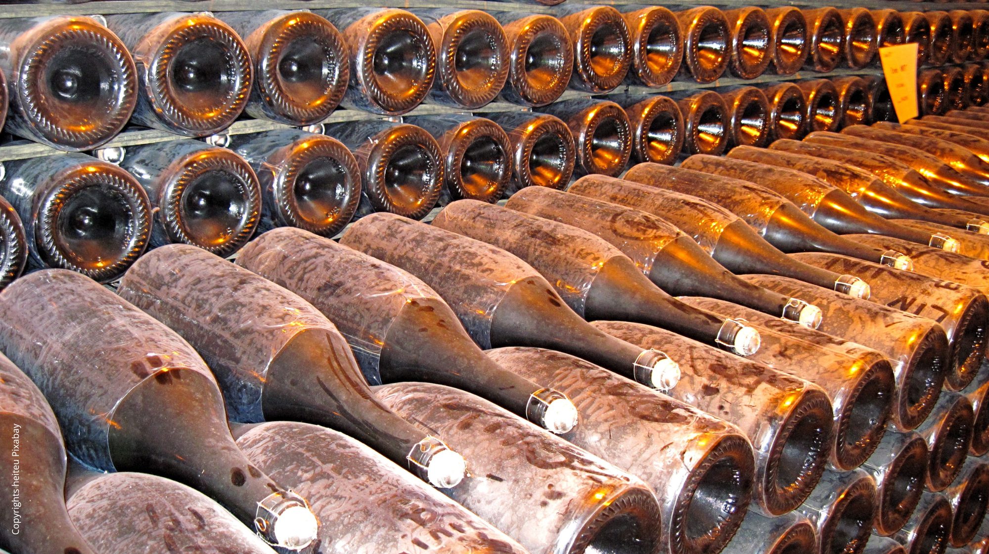 Secli Weinwelt - Champagner Basics