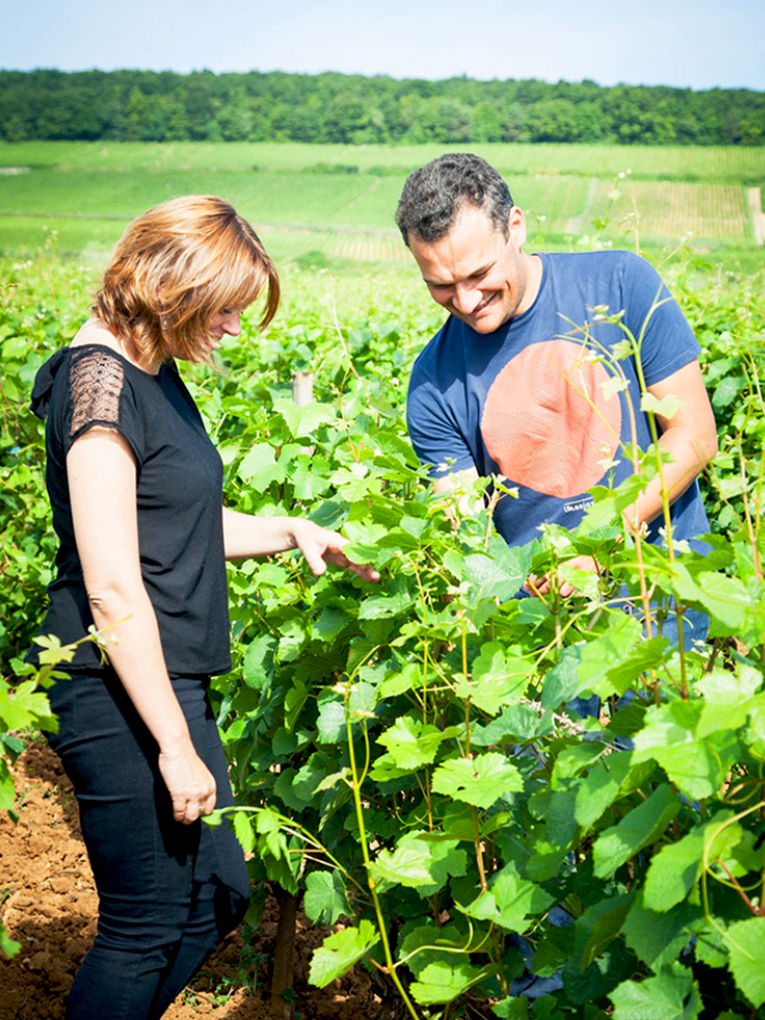 Secli Weinwelt - Donnschtig-Degu – Domaine Rollin & Barrat-Masson