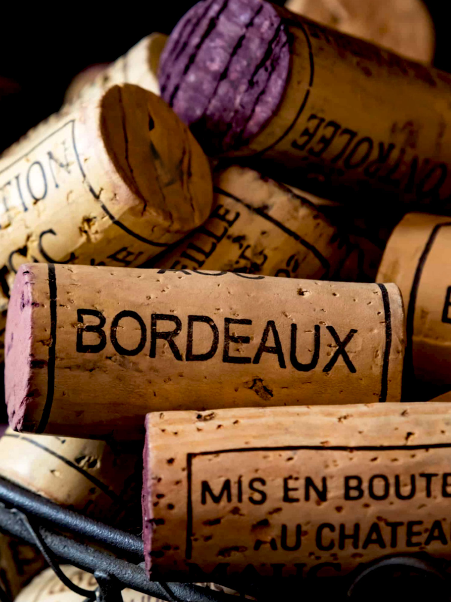 Secli Weinwelt - Secli Genuss-Momente – Bordeaux im Glas