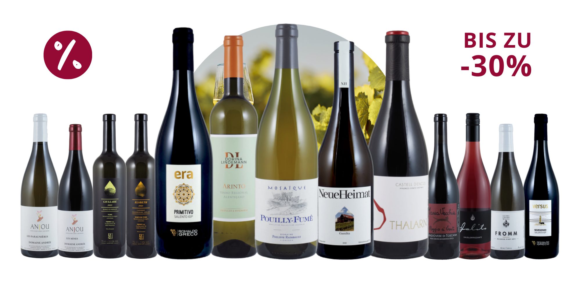 Secli Weinwelt - Frontpage Shop