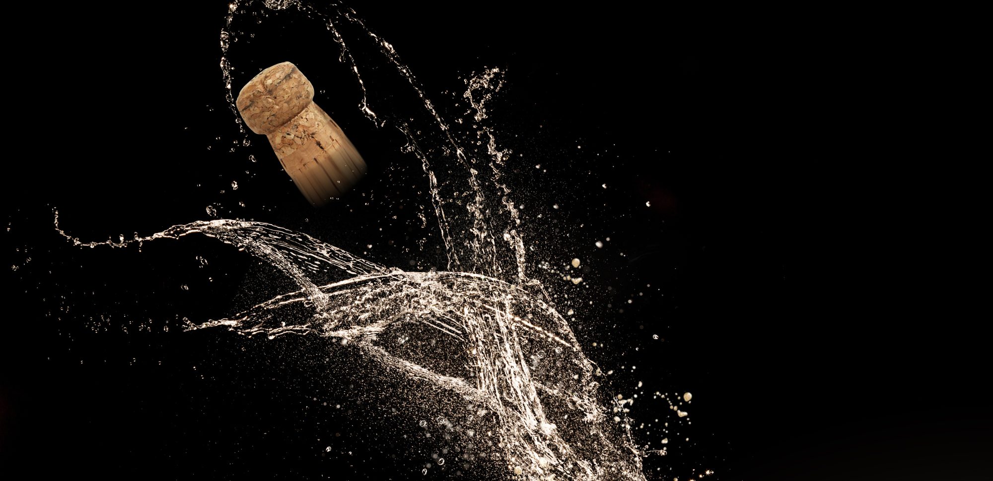 Secli Weinwelt - Frontpage Shop