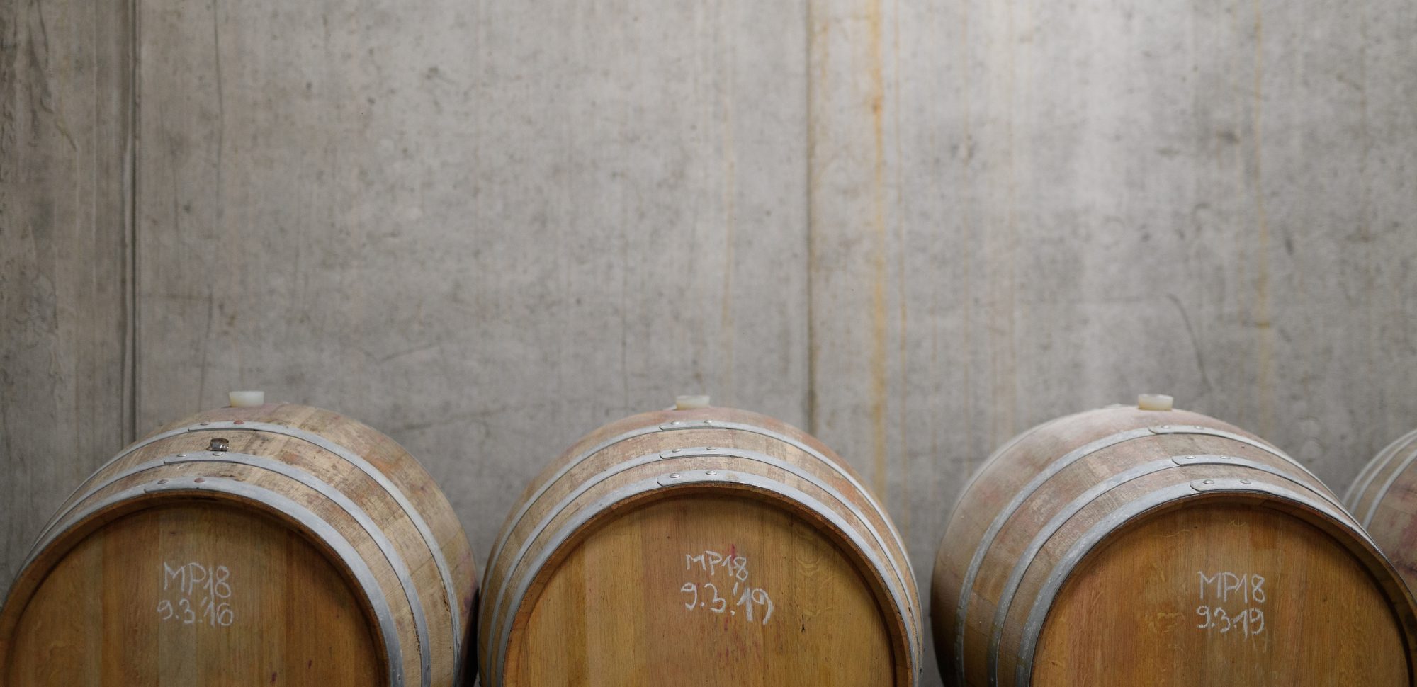 Secli Weinwelt - Frontpage Shop