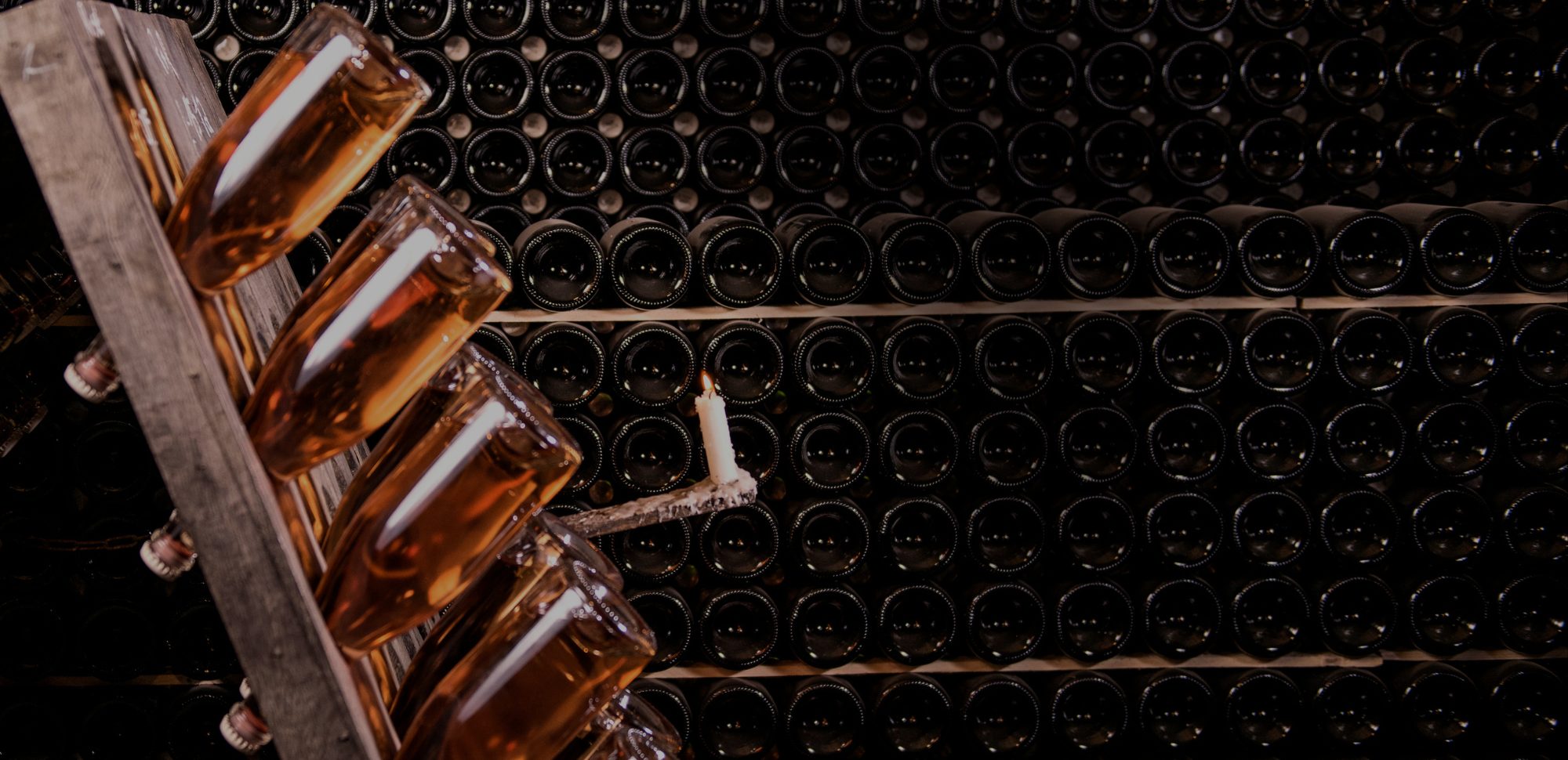 Secli Weinwelt - Frontpage Shop