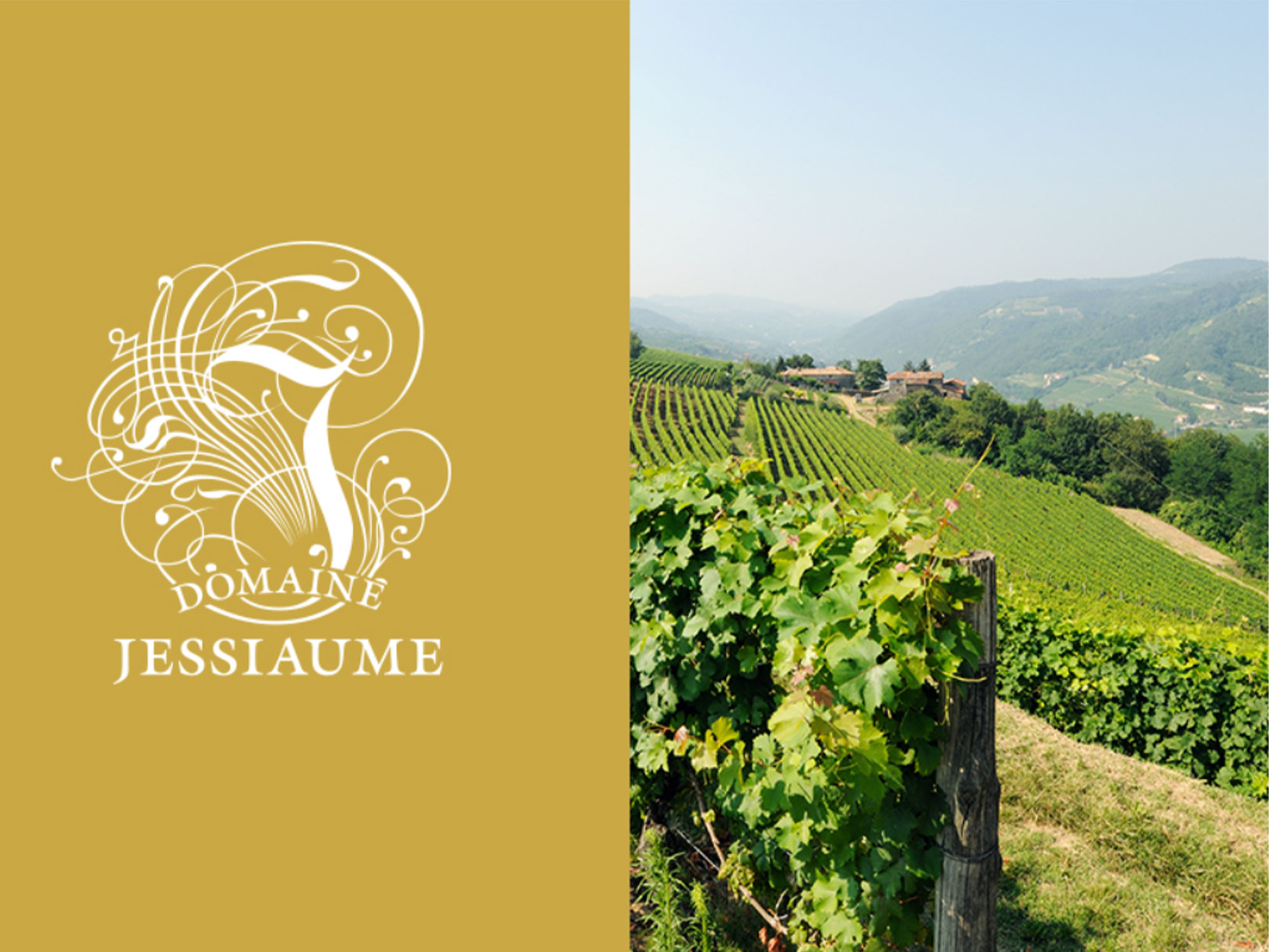 Weine von Domaine Jessiaume Domaine Jessiaume