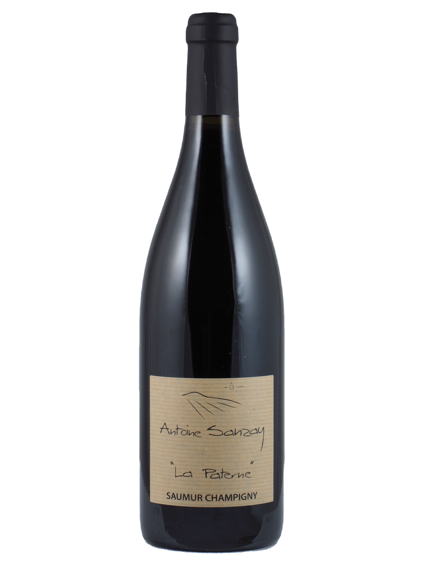 Saumur Champigny AC La Paterne Antoine Sanzay (Art-Nr.: 11130.22) Saumur Champigny AC La Paterne 2022 Antoine Sanzay