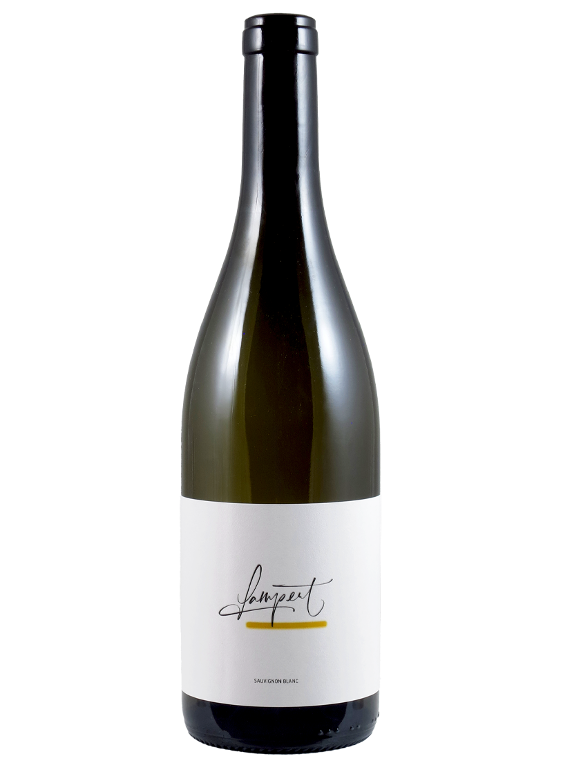 Sauvignon Blanc AOC Maienfeld Weingut Lampert /Thomas Lampert (Art-Nr.: 12769.24) Sauvignon Blanc AOC Maienfeld 2024 Weingut Lampert /Thomas Lampert