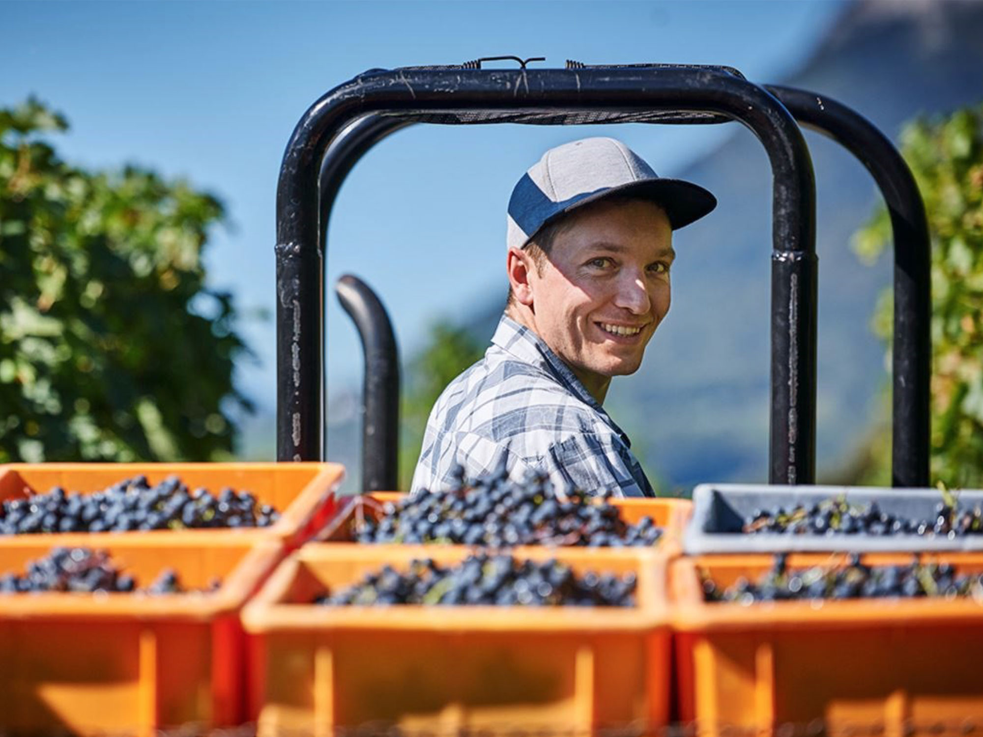 Weingut Roman Hermann