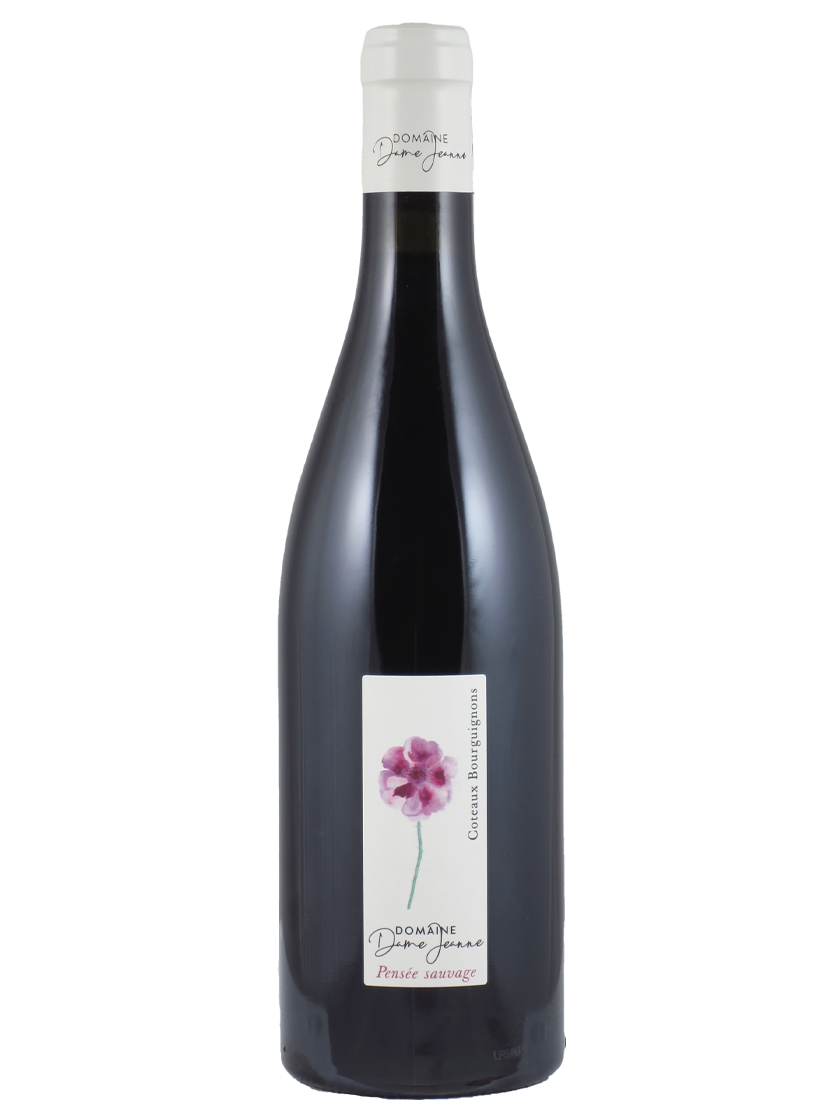 Cuvée Pensée Sauvage Coteaux Bourguignons AC Domaine Dame Jeanne (Art-Nr.: 11566.18) Cuvée Pensée Sauvage Coteaux Bourguignons AC 2018 Domaine Dame Jeanne