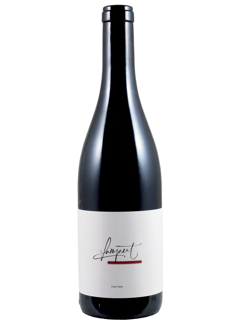 Pinot Noir Classic AOC Maienfeld Weingut Lampert /Thomas Lampert (Art-Nr.: 12771.22) Pinot Noir Classic AOC Maienfeld 2022 Weingut Lampert /Thomas Lampert