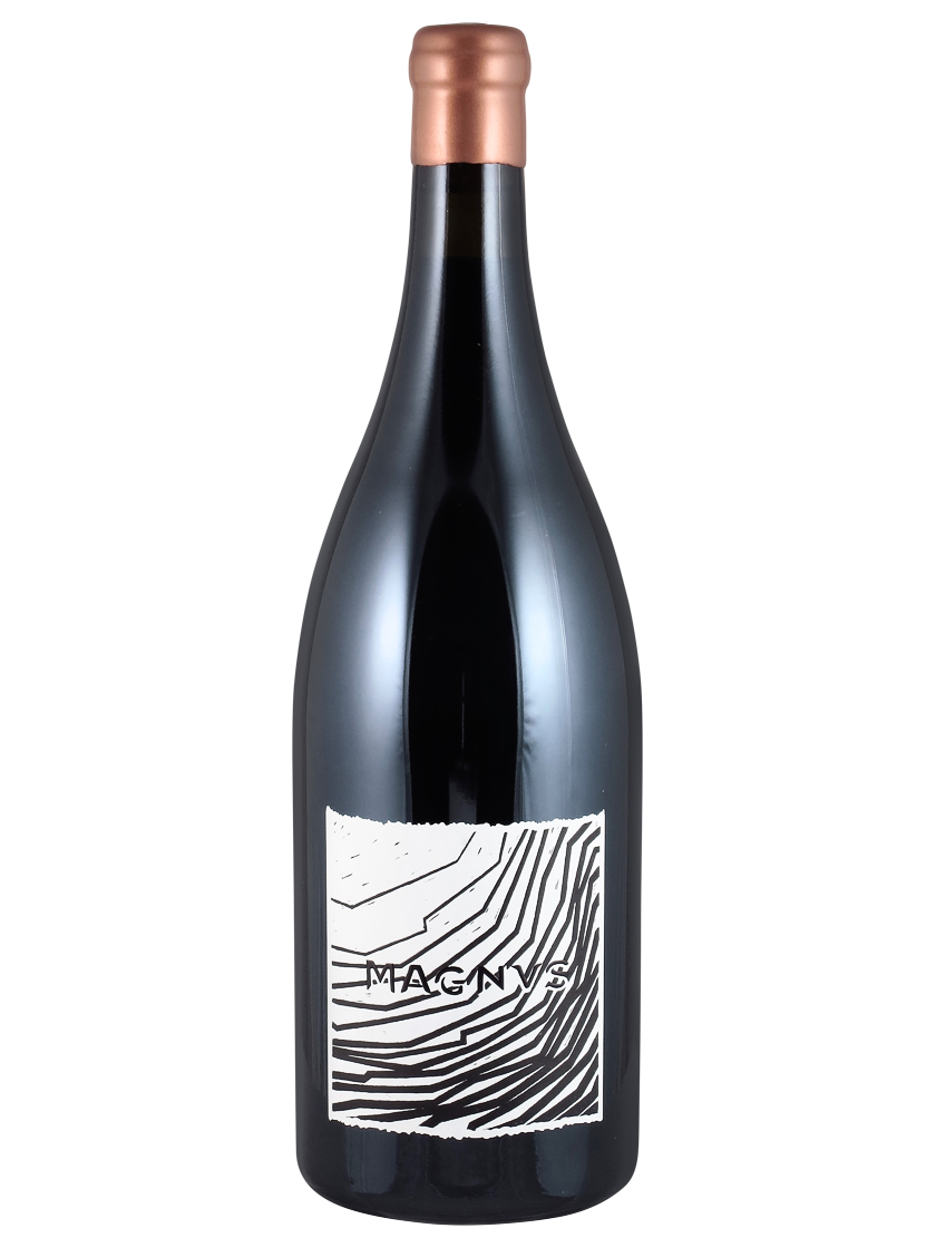 Pinot Noir Maienfeld AOC Magnus Möhr-Niggli (Art-Nr.: 11264.21) Pinot Noir Maienfeld AOC Magnus 2021 Möhr-Niggli