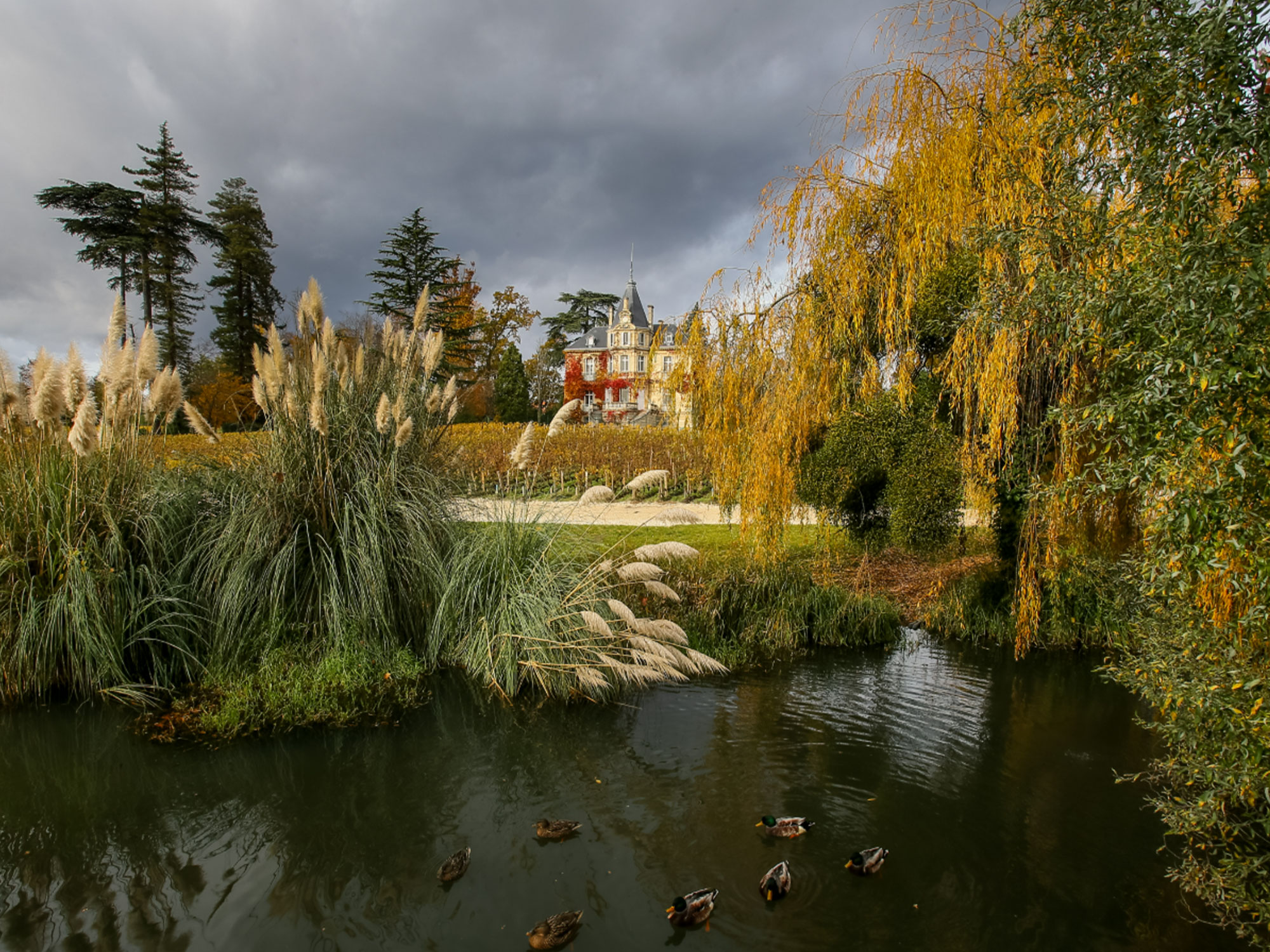 Château Les Carmes Haut Brion
