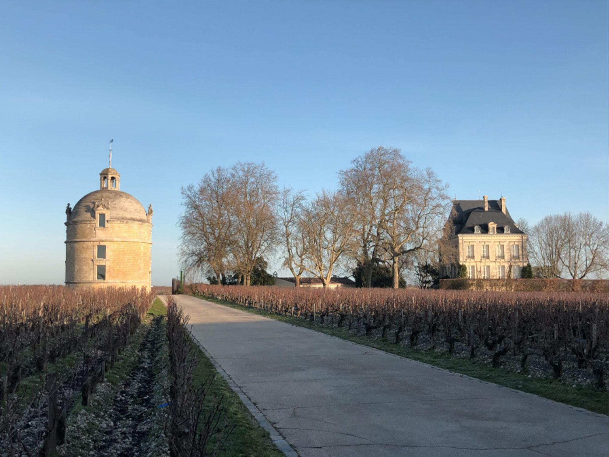 Weine von Château Latour Château Latour