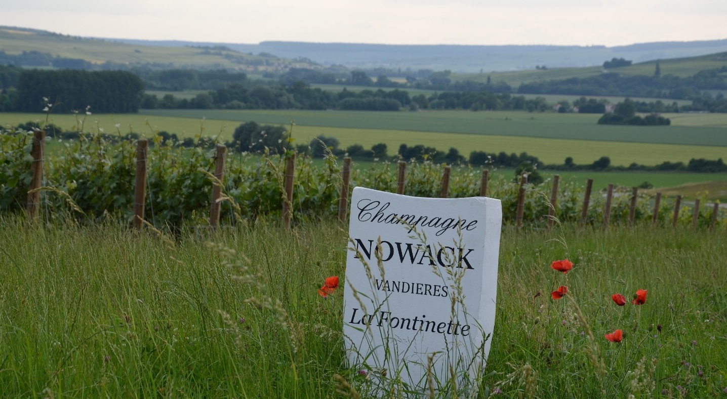 Weine von Flavien Nowack Flavien Nowack