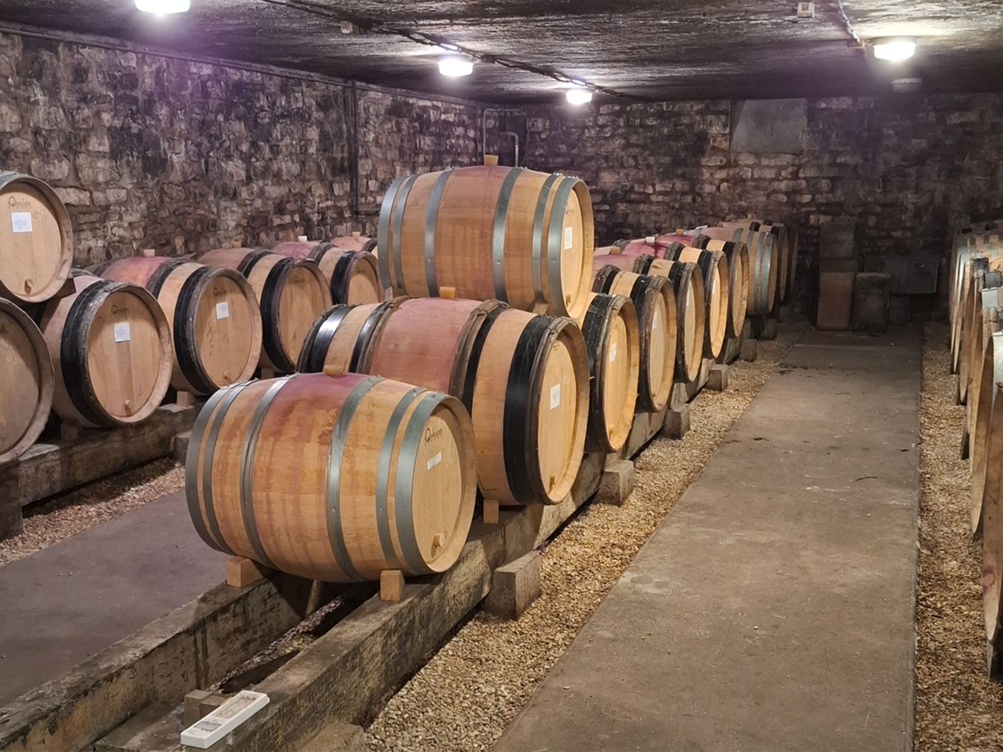 Domaine Pascale Rion Delhautal