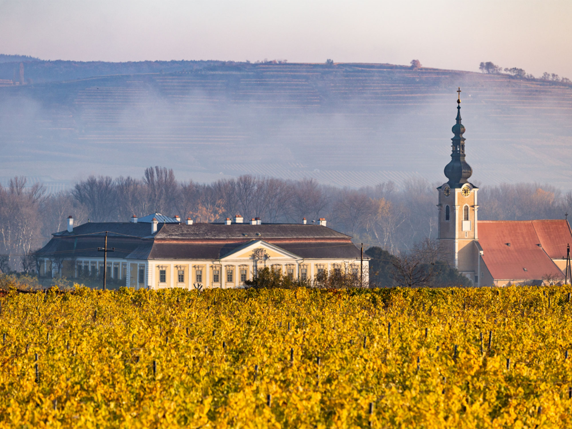 Weine von Schloss Gobelsburg Schloss Gobelsburg