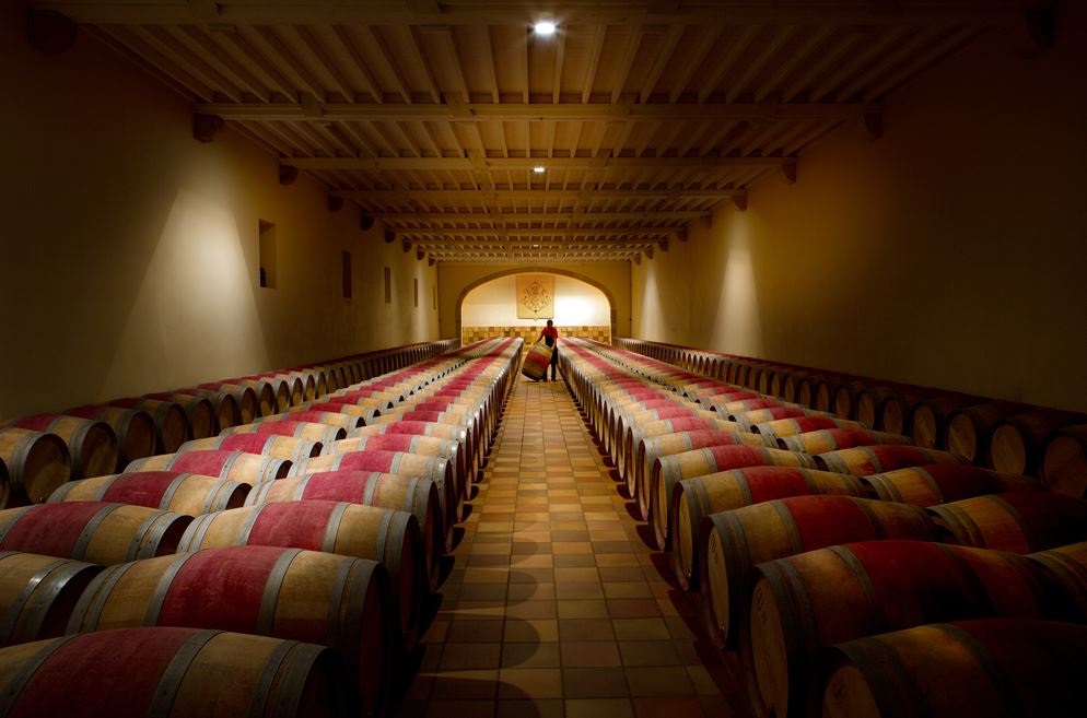 Weine von Château Phélan Ségur Château Phélan Ségur