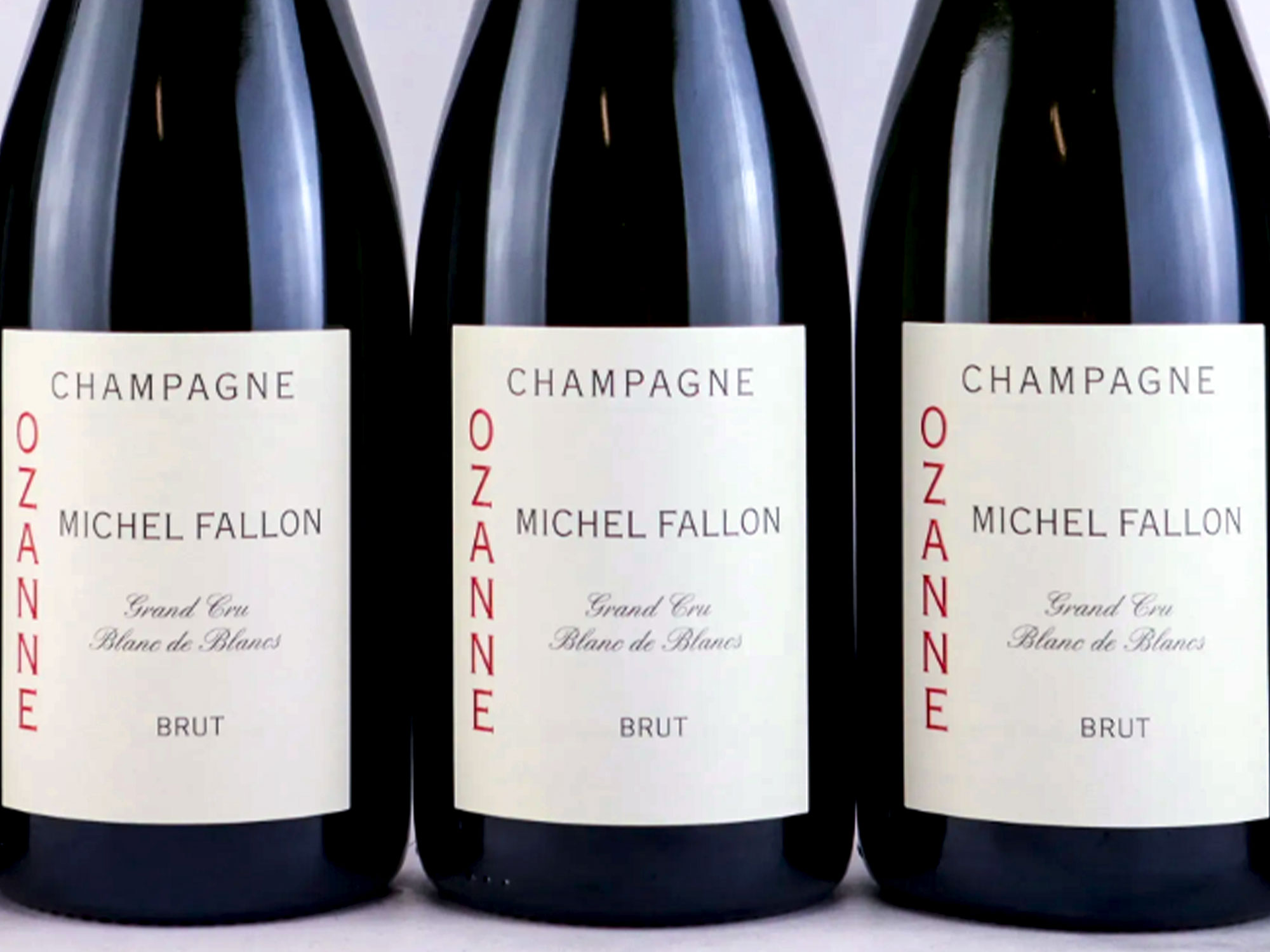 Michel Fallon