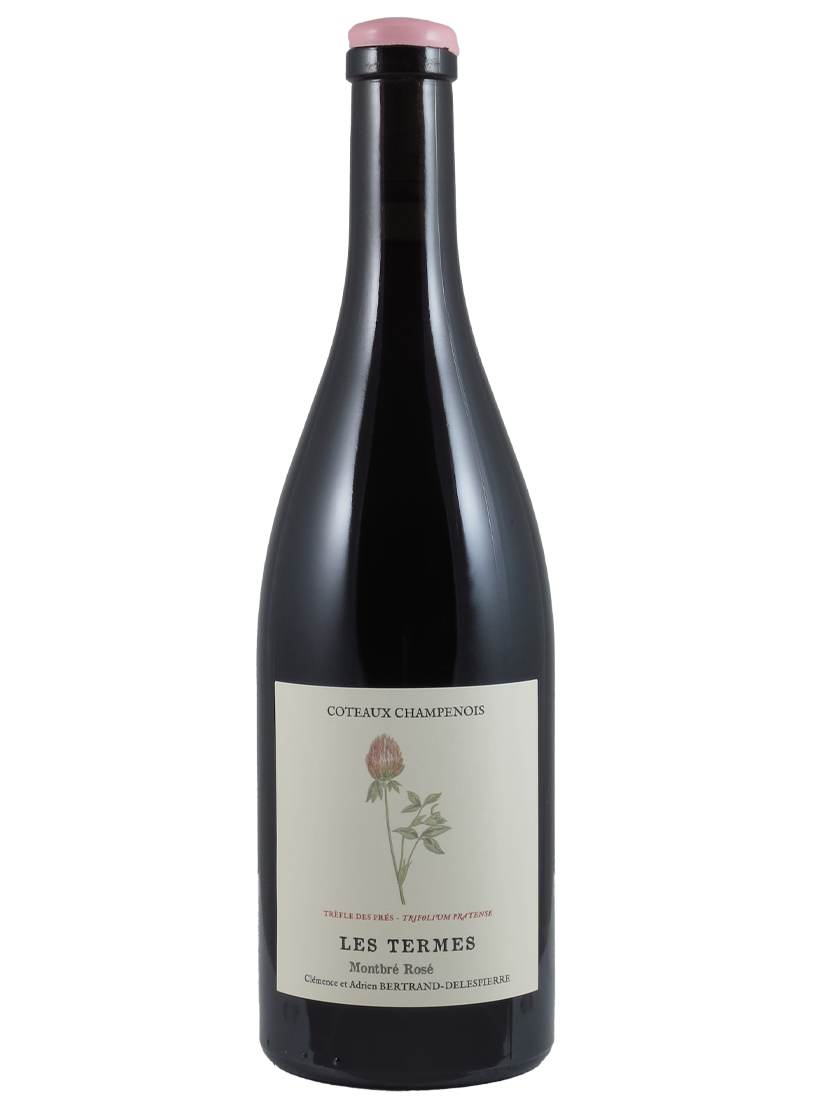 Coteaux Champenois Montbré Rosé Les Termes AC Bertrand-Delespierre (Art-Nr.: 12722.20) Coteaux Champenois Montbré Rosé Les Termes AC 2020 Bertrand-Delespierre