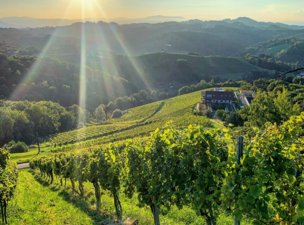 Weine von Goedwinemakers Goedwinemakers