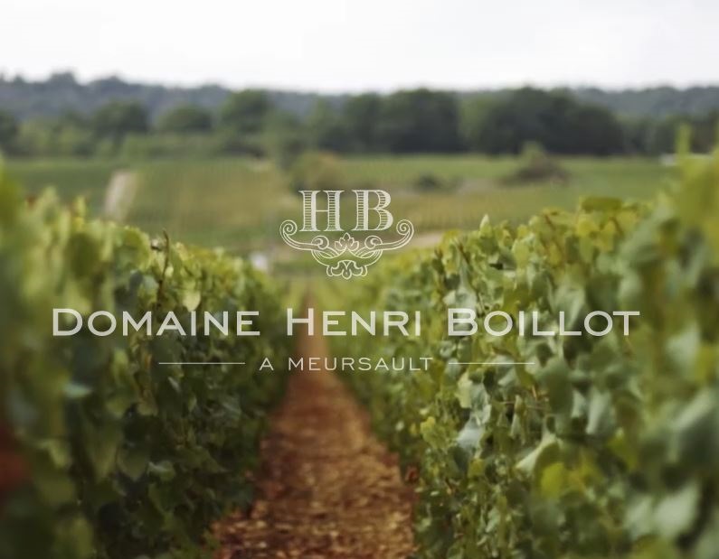 Weine von Henri Boillot Henri Boillot