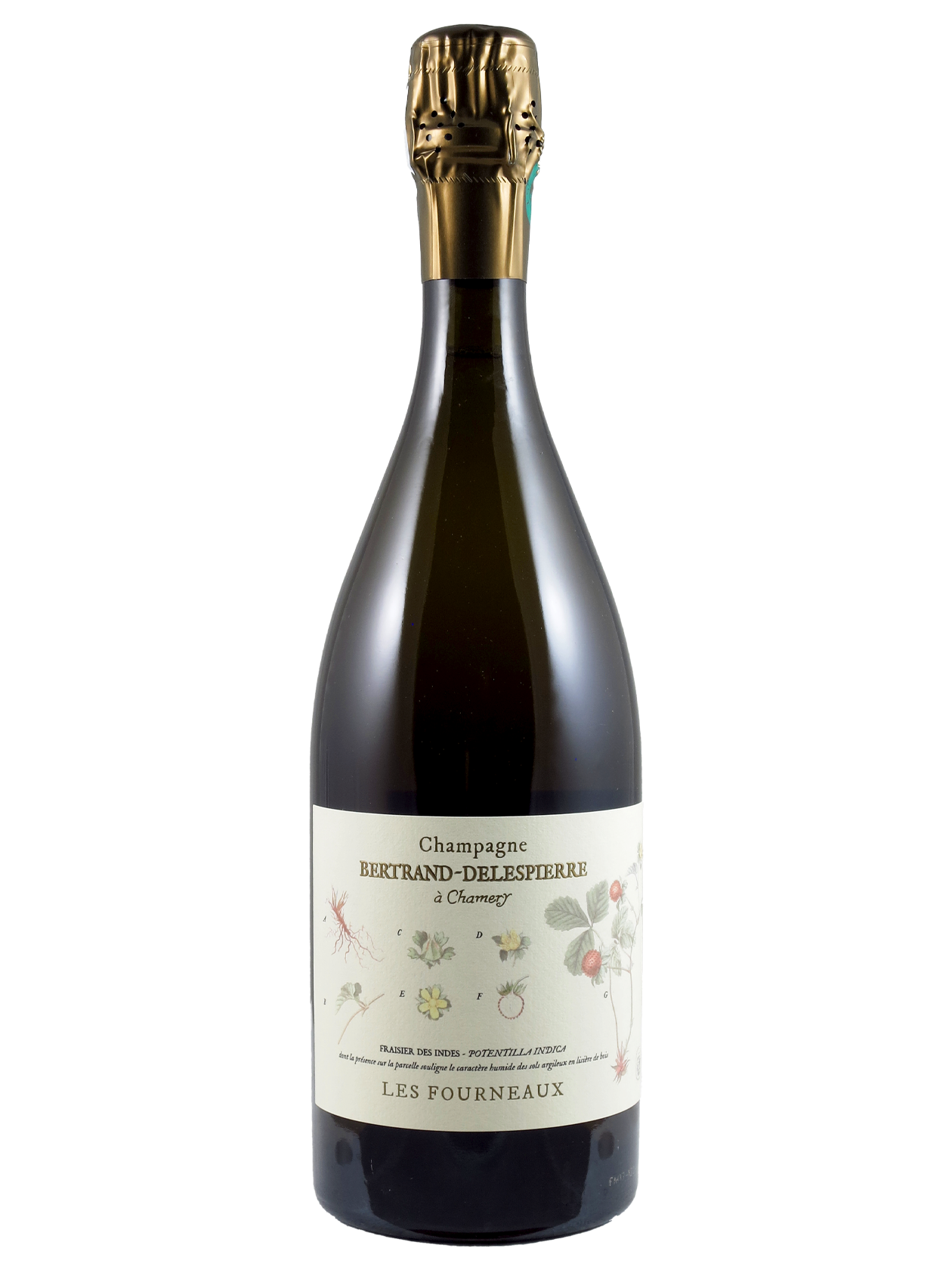 Les Fourneaux Extra Brut 1er Cru AC Bertrand-Delespierre (Art-Nr.: 13058.17) Les Fourneaux Extra Brut 1er Cru AC 2017 Bertrand-Delespierre