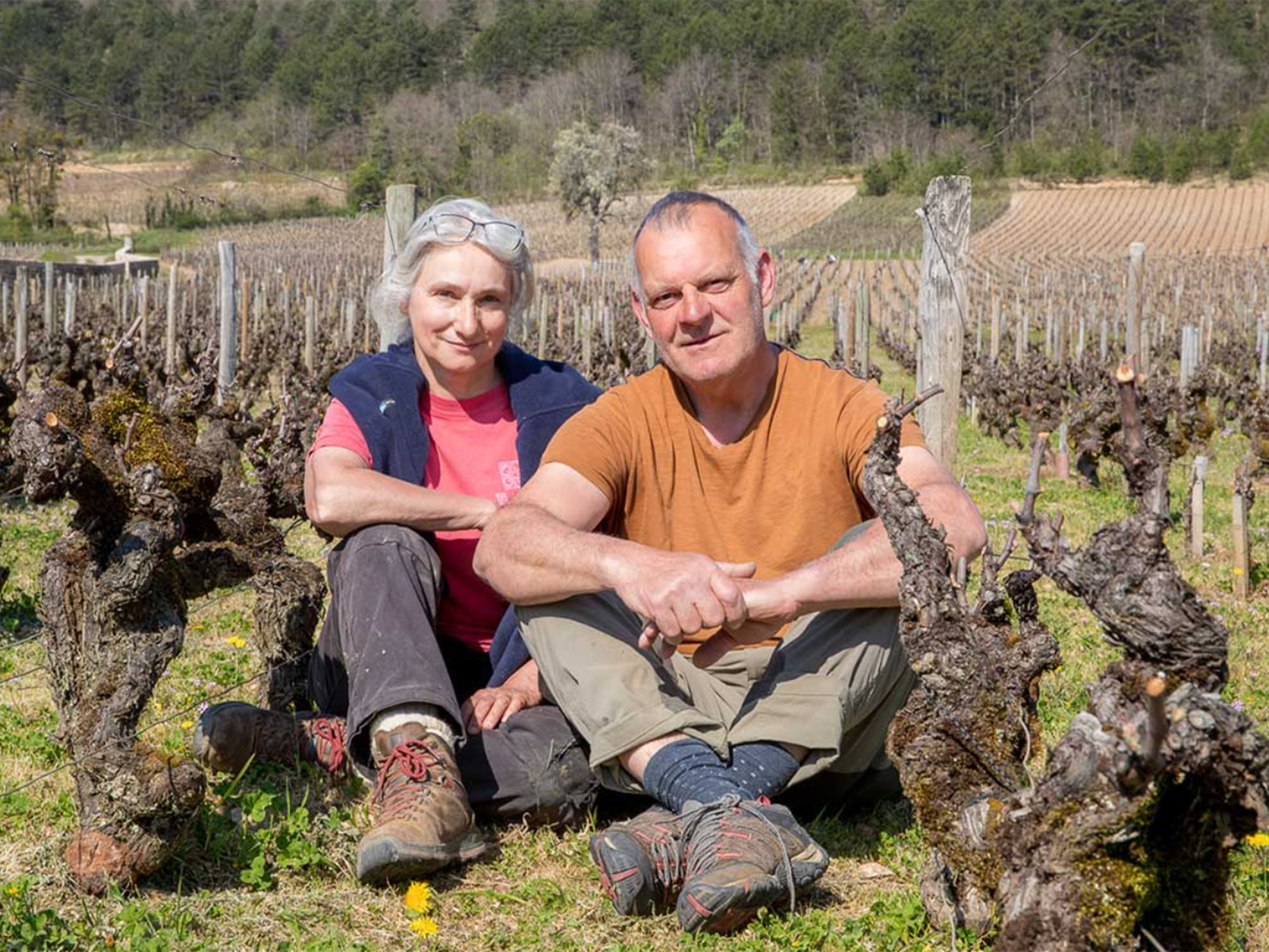 Weine von Comtesse de Cherisey Comtesse de Cherisey