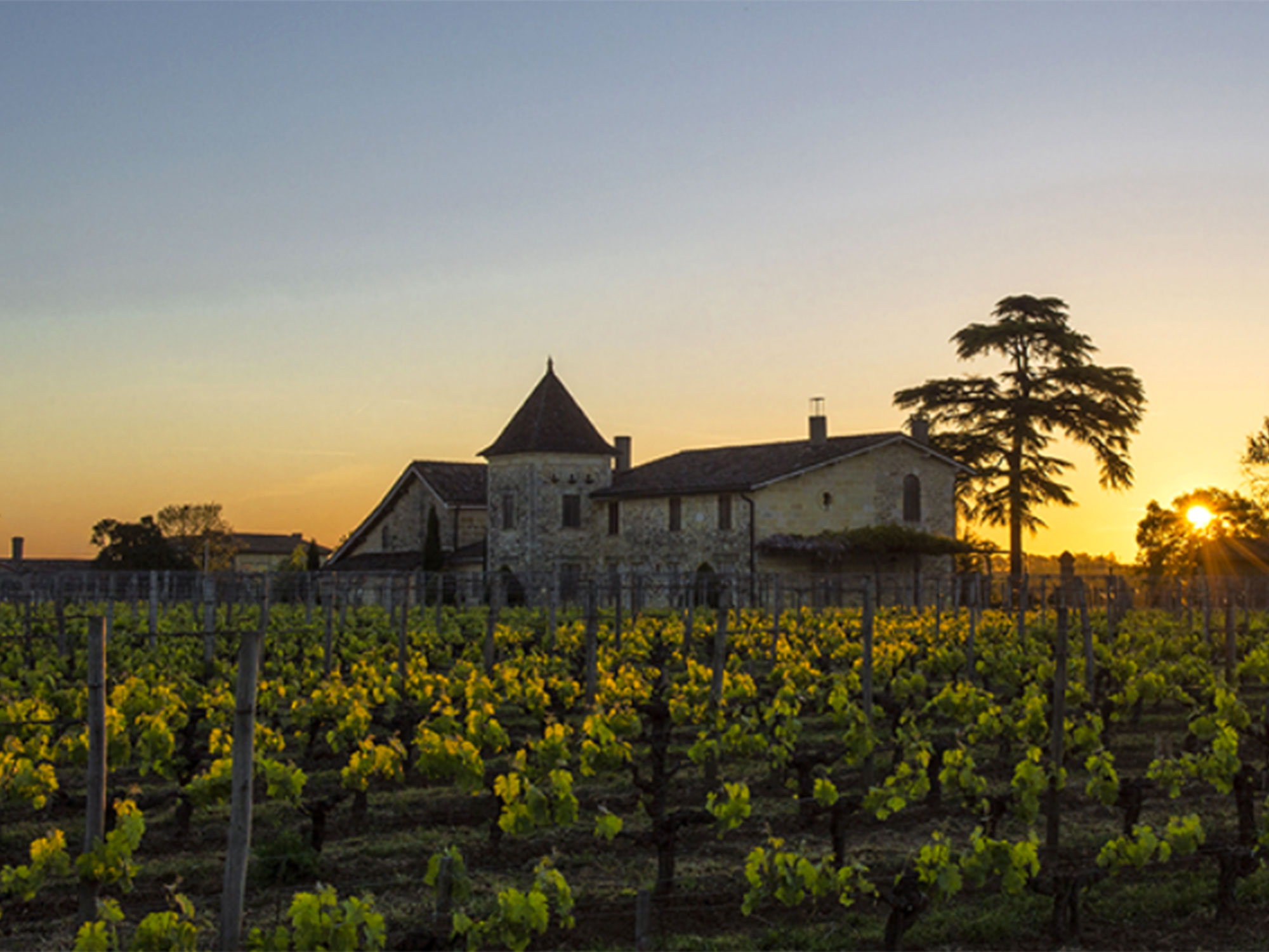 Château La Mondotte