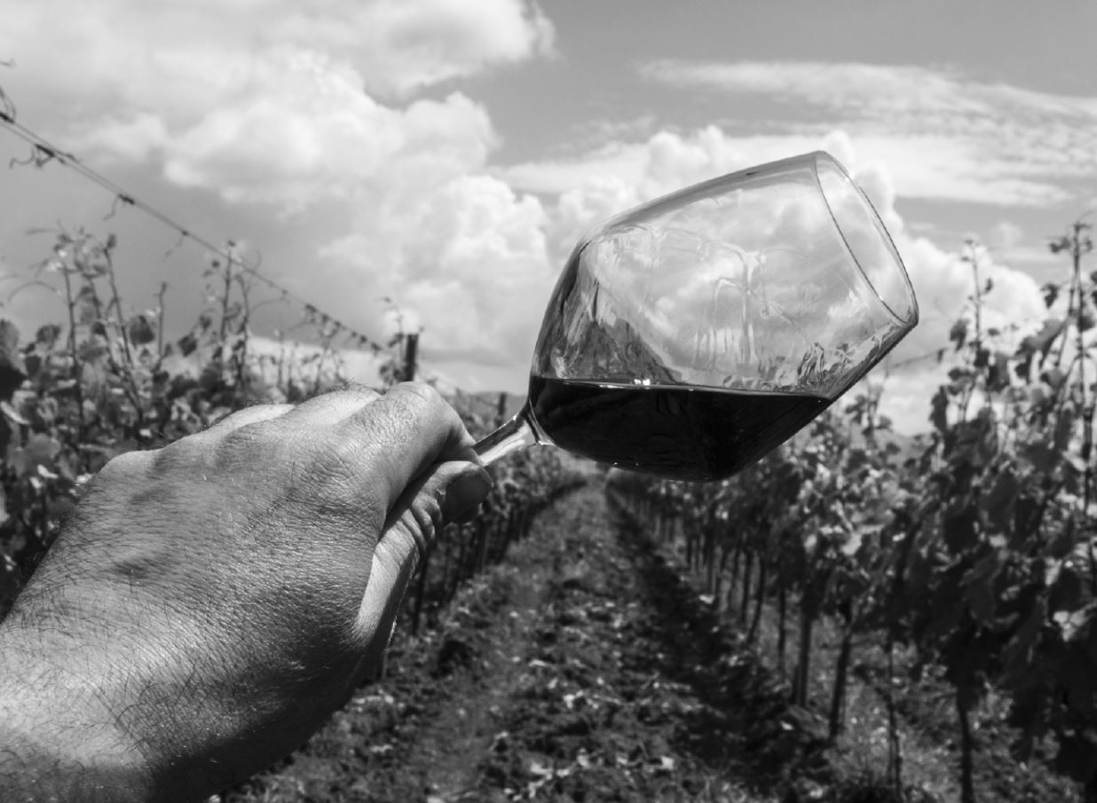 Weine von Podere Ranieri Podere Ranieri