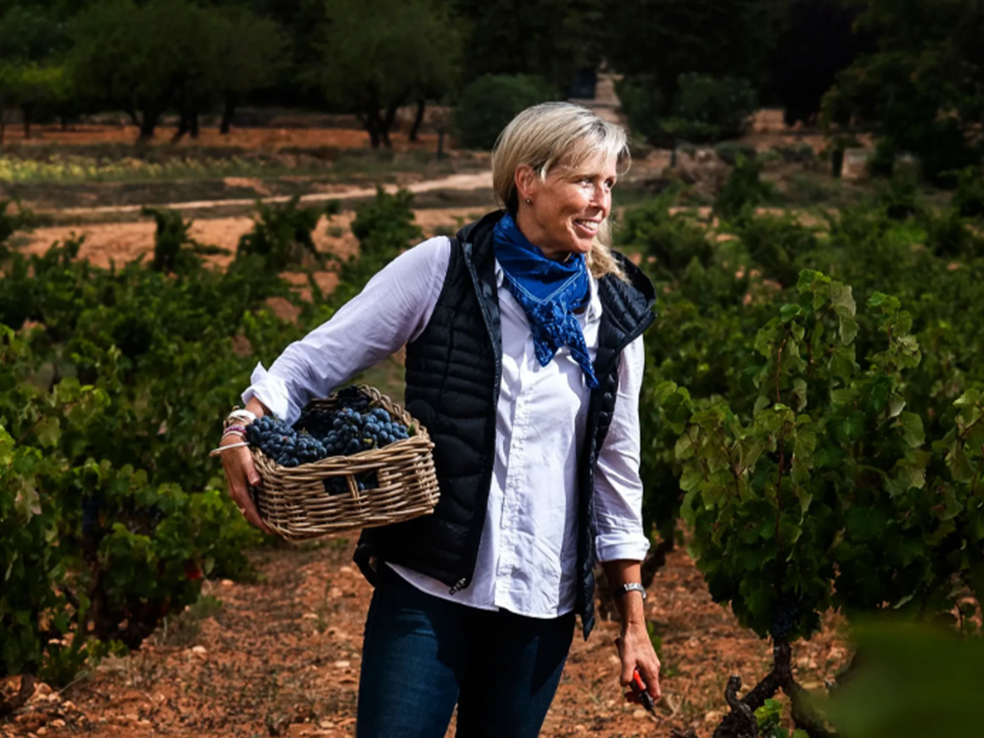 Les Vins Bonhomme