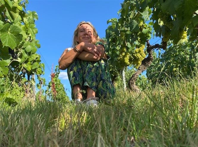 Weine von Pierre Baillette Pierre Baillette