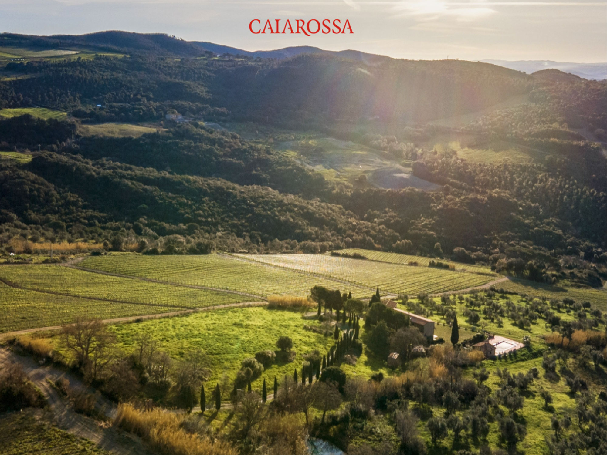 Weine von Caiarossa Caiarossa
