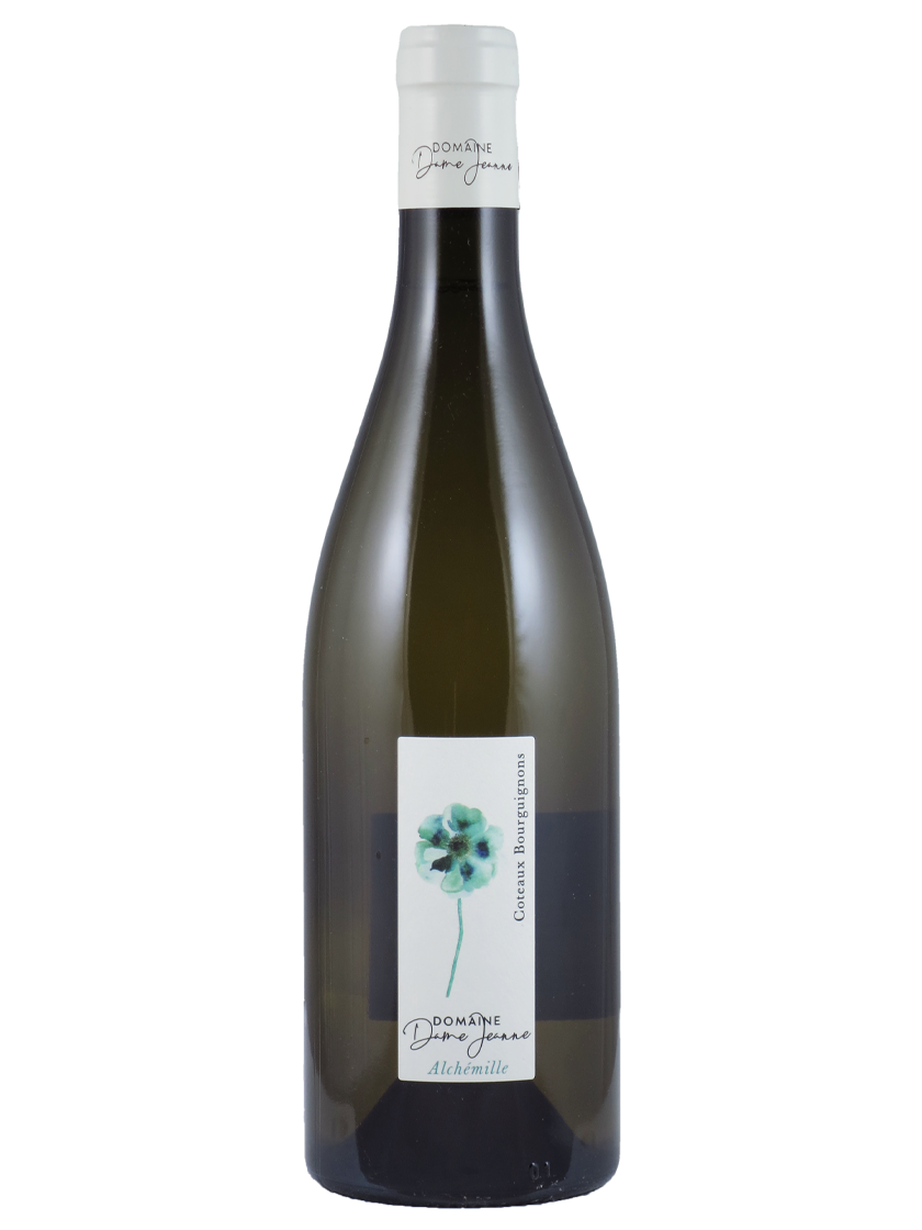 Cuvée Alchémille Coteaux Bourguignons AC Domaine Dame Jeanne (Art-Nr.: 11513.21) Cuvée Alchémille Coteaux Bourguignons AC 2021 Domaine Dame Jeanne