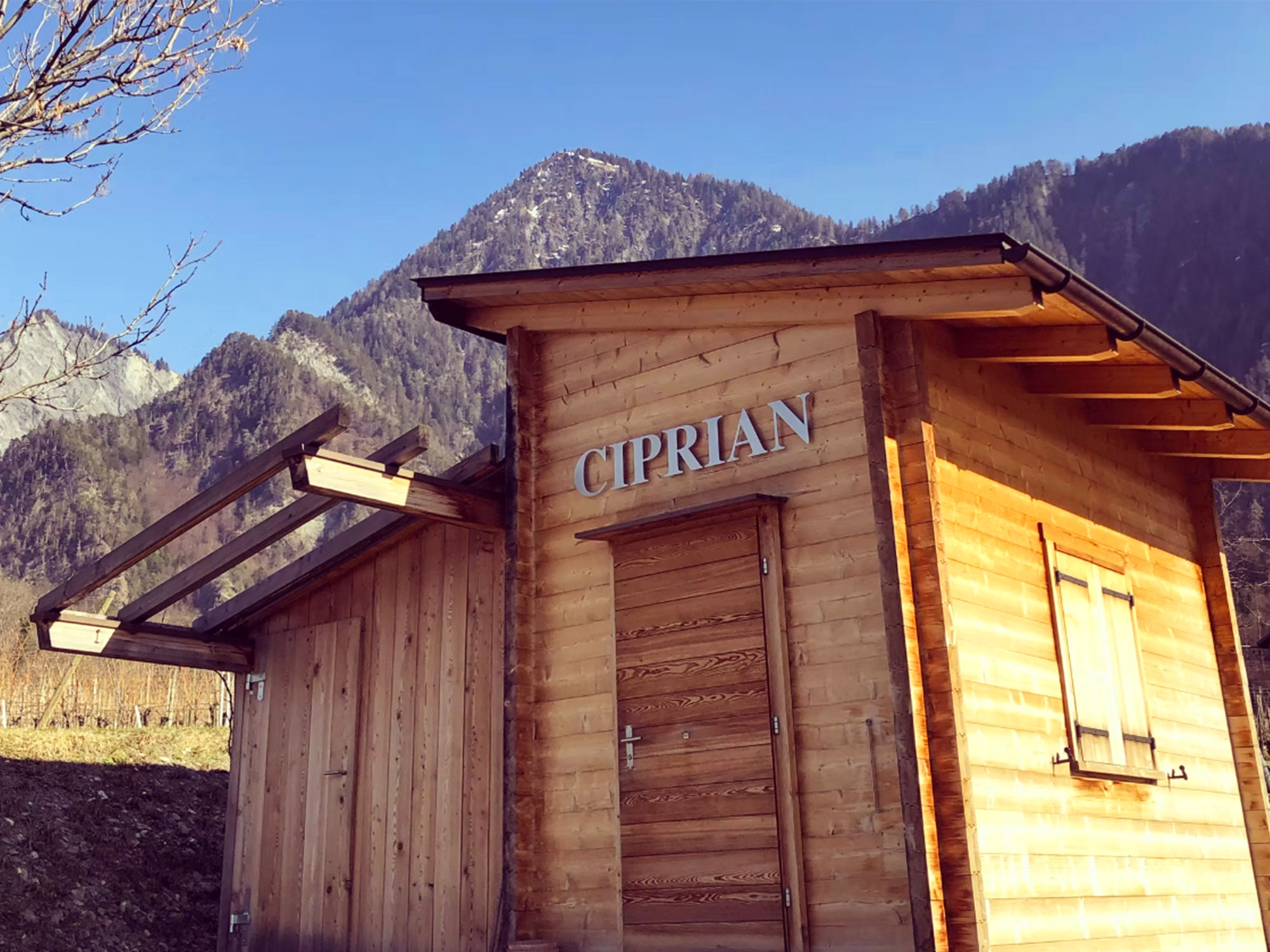 Rebbau Ciprian