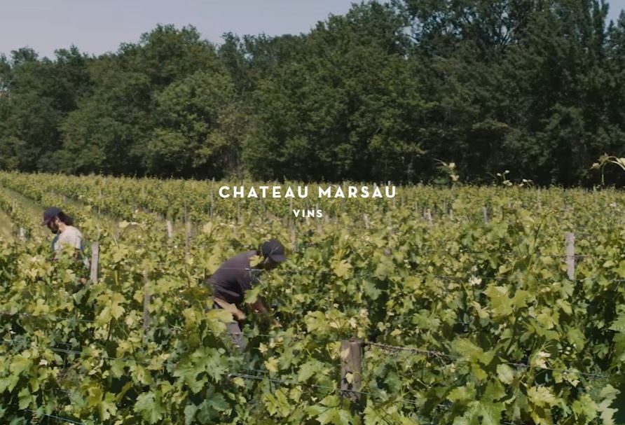 Weine von Château Marsau Château Marsau