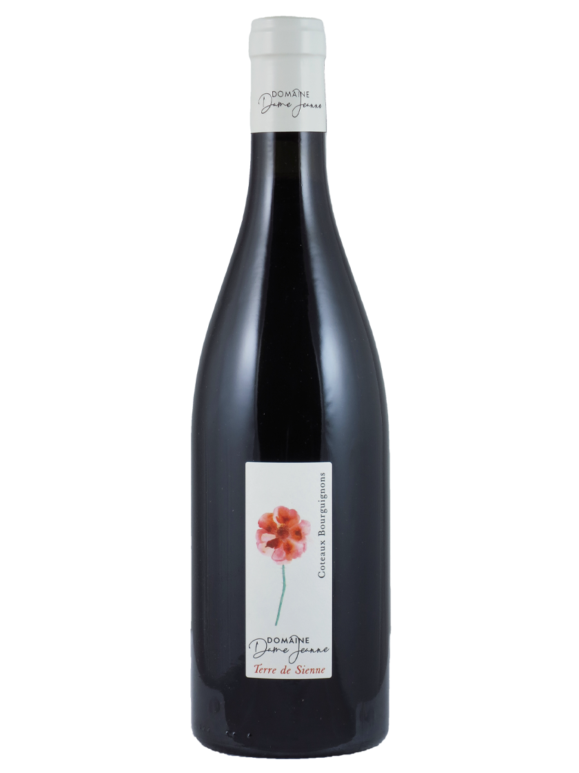 Cuvée Terre de Sienne Coteaux Bourguignons AC Domaine Dame Jeanne (Art-Nr.: 11514.20) Cuvée Terre de Sienne Coteaux Bourguignons AC 2020 Domaine Dame Jeanne