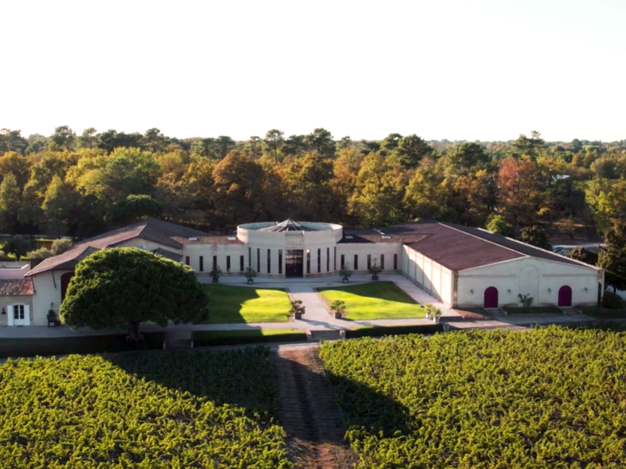 Domaine de Chevalier