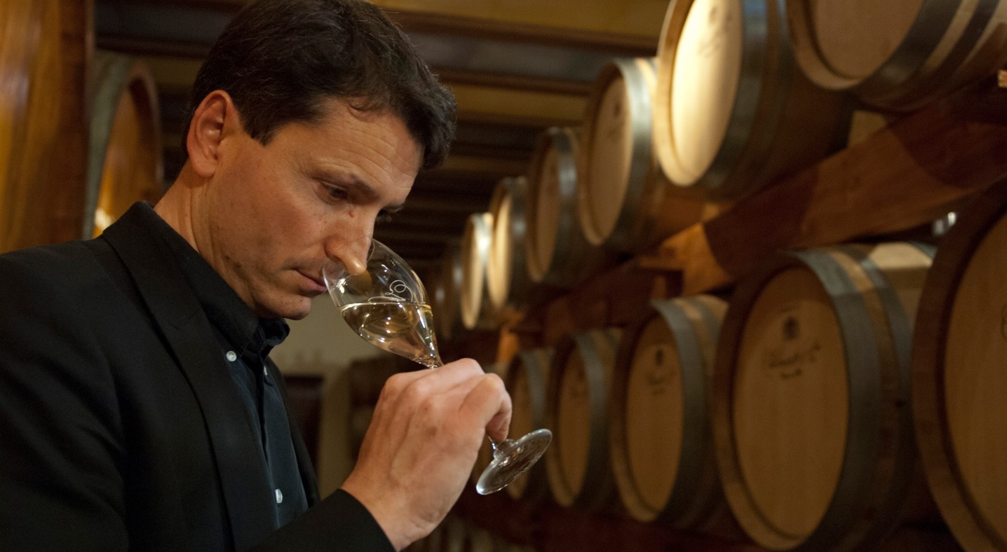 Weine von Vilmart & Cie Vilmart & Cie