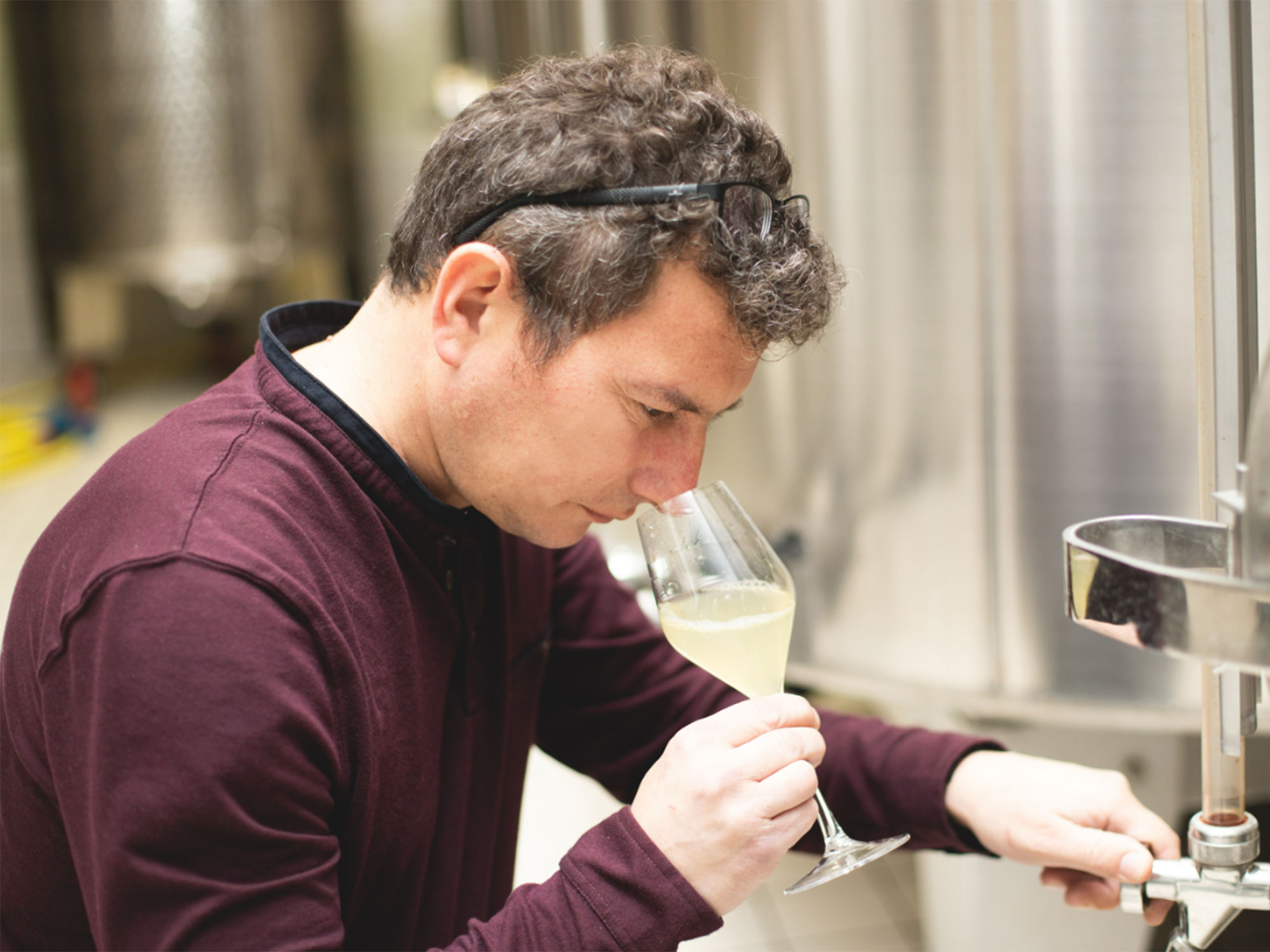 Weine von Nominé-Renard Nominé-Renard