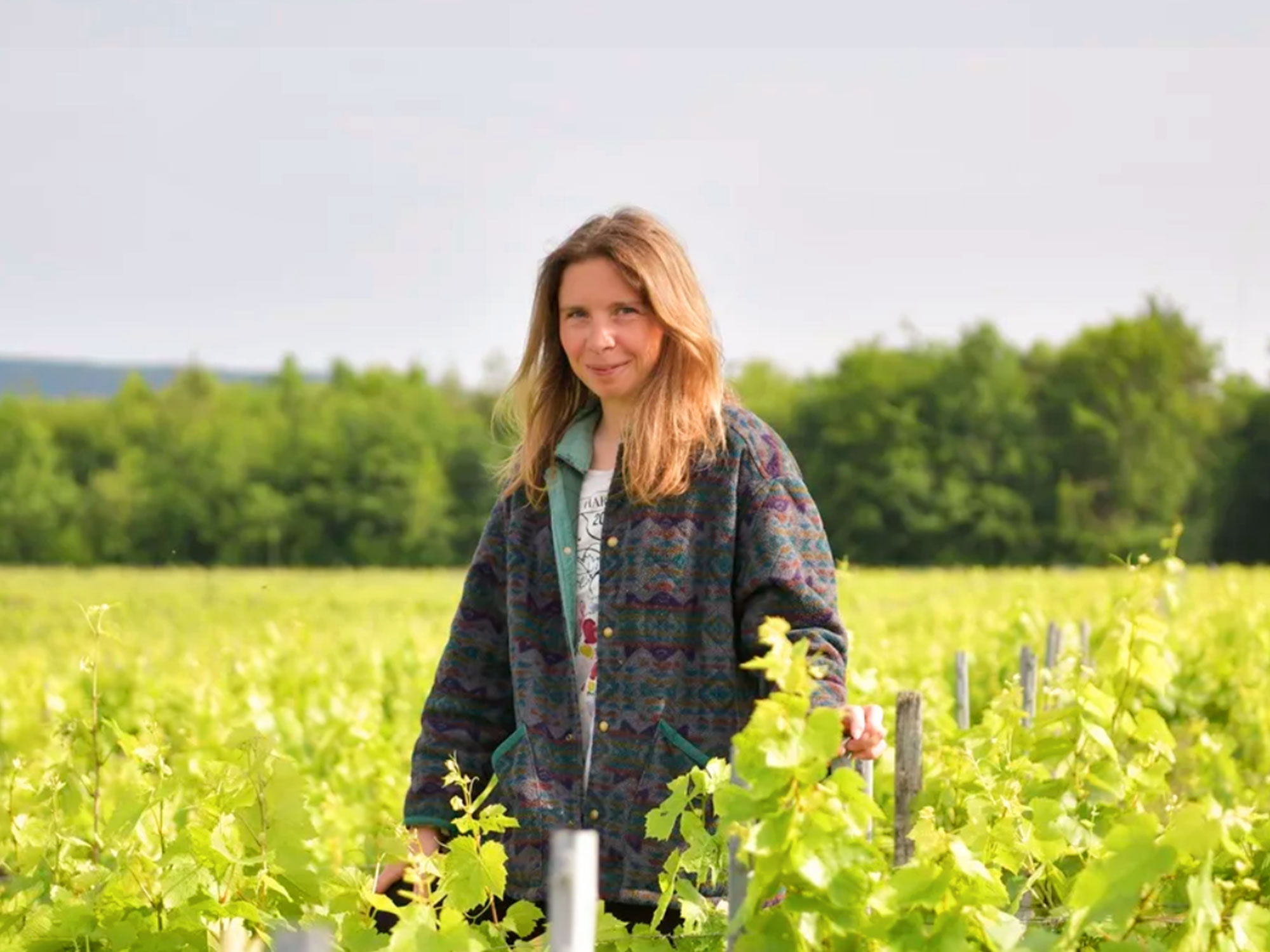 Domaine Dame Jeanne