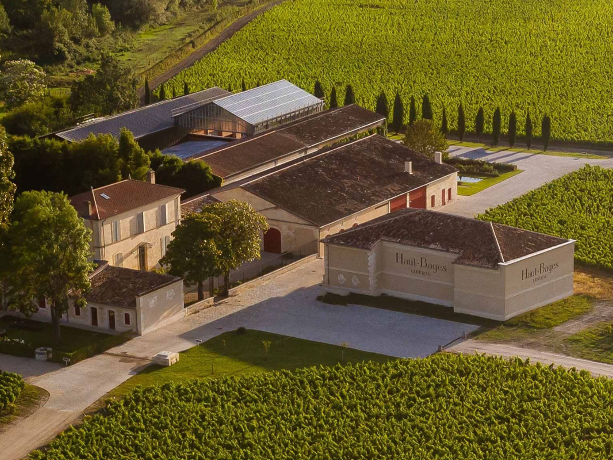 Weine von Château Haut-Bages-Libéral Château Haut-Bages-Libéral