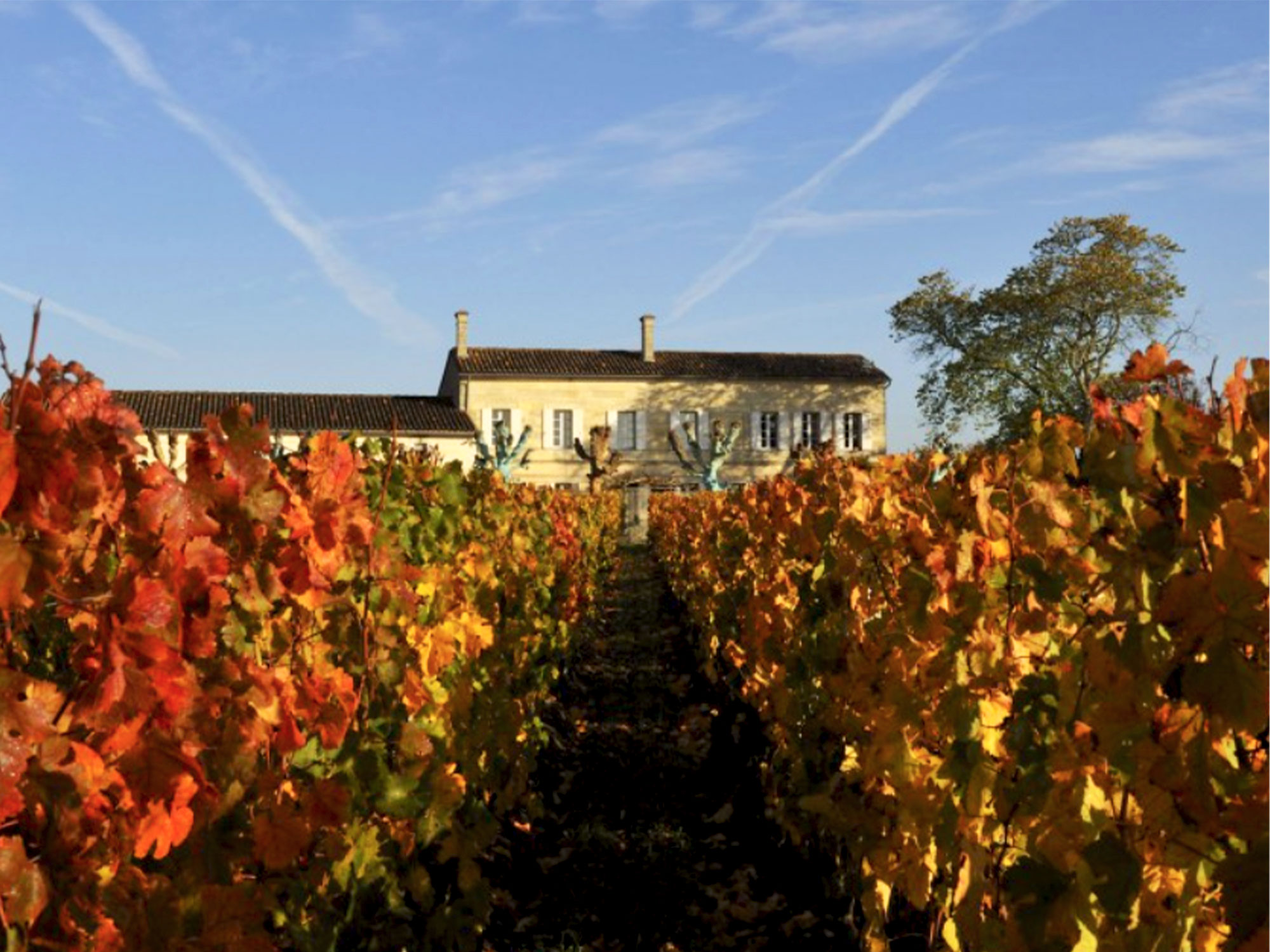 Château L`Eglise Clinet